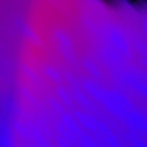 Meet your Posher, Janessa